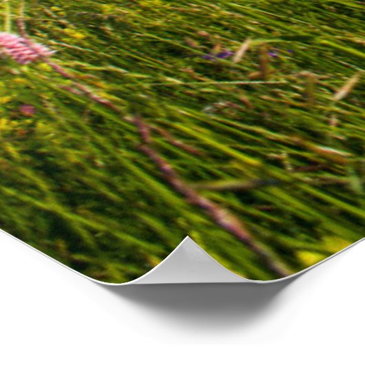 Wasser | Schweizer Alpenwanderweg Poster (Ecke)