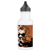 WASSER TRINKFLASCHE (Rechts)