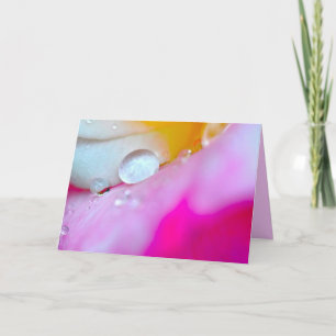 Wasser-Tropfen auf Blumen-Blumenblatt Karte