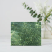 Wasser über dem Foto Gras II (blau und grün) (Stehend Vorderseite)