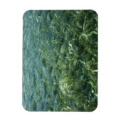 Wasser über Meeresgras I Karibik Magnet (Vertikal)