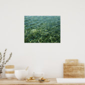 Wasser über Meeresgras I Karibik Poster (Küche)