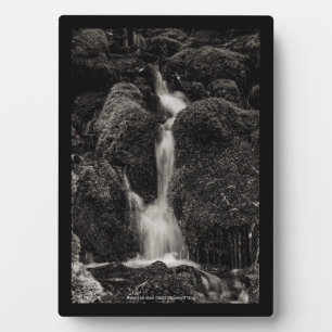 Wasser über Moos Fotoplatte