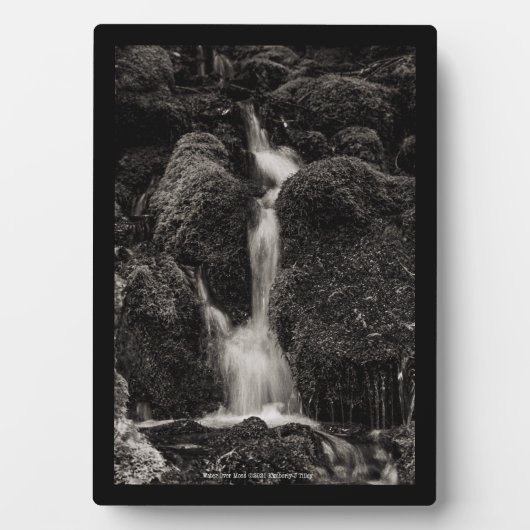 Wasser über Moos Fotoplatte (Vorderseite)