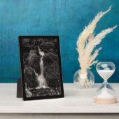 Wasser über Moos Fotoplatte (Seite)