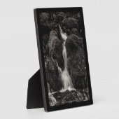 Wasser über Moos Fotoplatte (Seite)