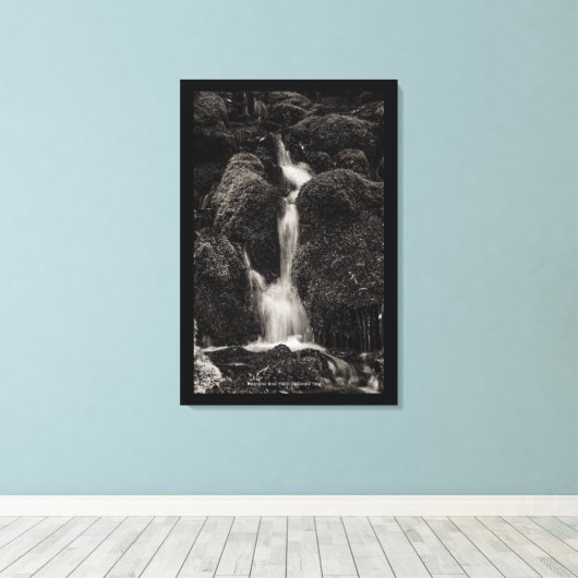 Wasser über Moos Leinwanddruck (Insitu (Holzboden))