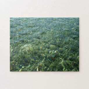 Wasser über Seegras I Karibische Natur Puzzle
