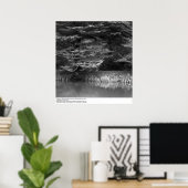 Wasser und Bäume in der Nähe des UC San Francisco, Poster (Heimbüro)