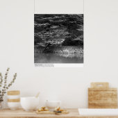 Wasser und Bäume in der Nähe des UC San Francisco, Poster (Küche)