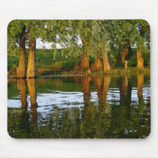 Wasser und Bäume Mousepad (Vorne)