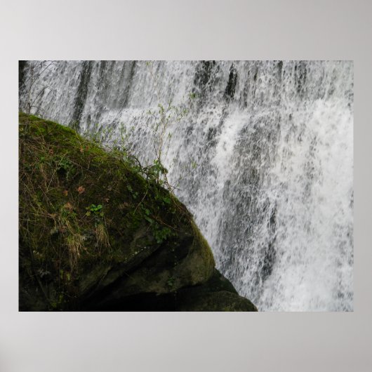 Wasser und Erde Poster (Vorne)