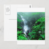 Wasser Untere Doyles River Falls Shenandoah Postkarte (Vorne/Hinten)