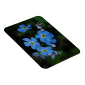 Wasser-Vergiss-Me-Not-Blume-Magnet Magnet (Rechte Seite)