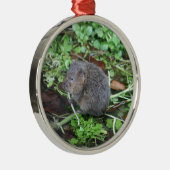 Wasser-Wühlmaus Silbernes Ornament (Rechts)