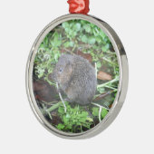 Wasser-Wühlmaus Silbernes Ornament (Links)