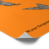 Wasserabfluss, Mimbres Pottery Design Poster (Ecke)