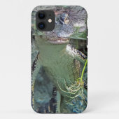 Wasseralligator Case-Mate iPhone Hülle (Rückseite)