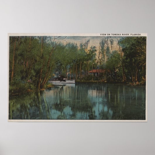 Wasseransicht Tomoka River & Marsh, Florida Poster (Vorne)