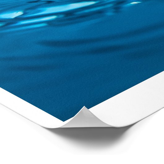 Wasserasyl Poster (Ecke)