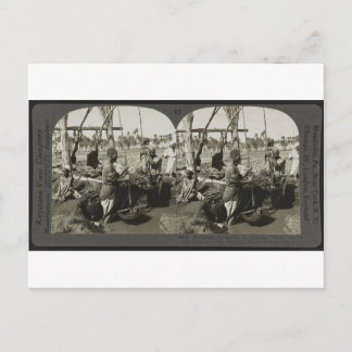 Wasseraufbereitung aus dem Nil in Ägypten um 1928 Postkarte