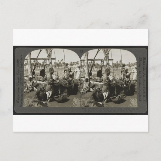 Wasseraufbereitung aus dem Nil in Ägypten um 1928 Postkarte (Vorderseite)