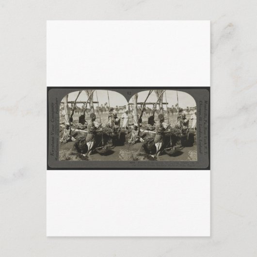 Wasseraufbereitung aus dem Nil in Ägypten um 1928 Postkarte (Vorderseite)