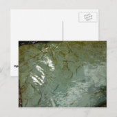 Wasserbedecktes Foto Postkarte (Vorne/Hinten)