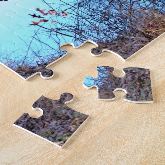 Wasserbild mit Bench Puzzle (Seite)