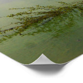 Wasserbild Poster (Ecke)