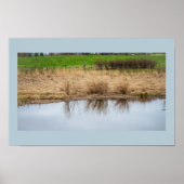 Wasserbild Reflections Poster (Vorne)