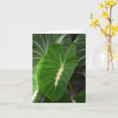 Wasserbrotwurzel-Pflanze notecard Karte (Gelbe Blume)