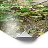 Wasserbrunnen Fotodruck (Ecke)