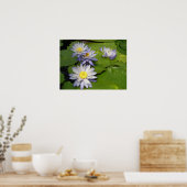 wasserdicht poster (Küche)