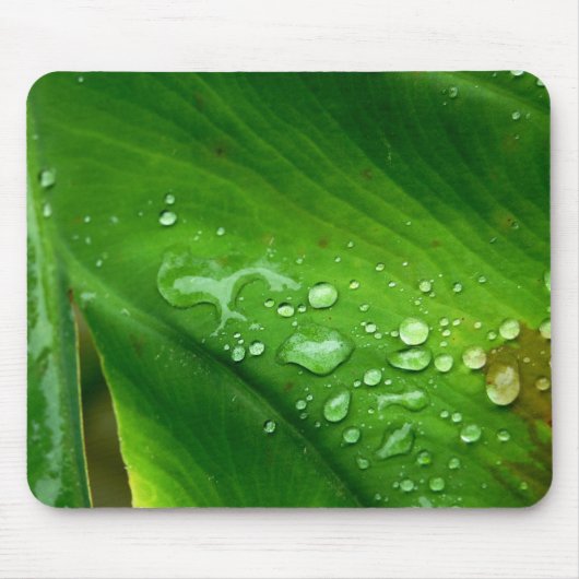 Wasserdichtes Mousepad (Vorne)