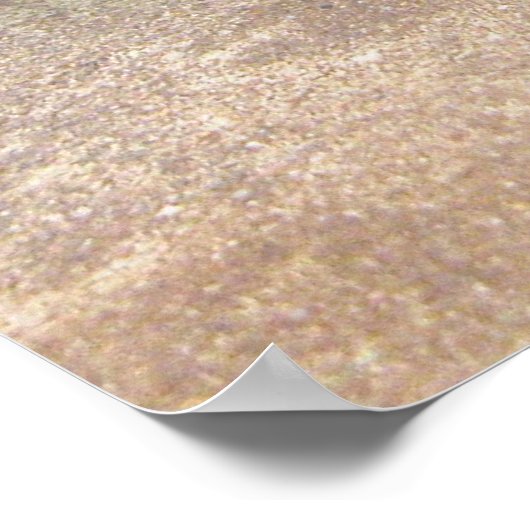 Wasserdrache Poster (Ecke)