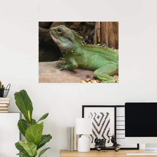 Wasserdrache Poster (Heimbüro)