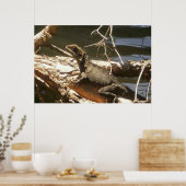 Wasserdrache Poster (Küche)