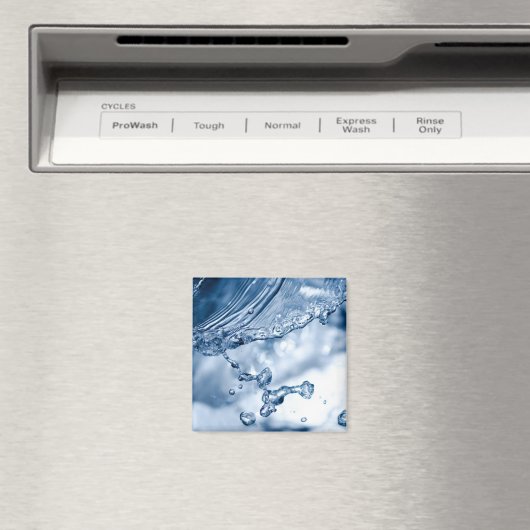 Wassereinschlag Magnet (In Situ (Geschirrspüler))