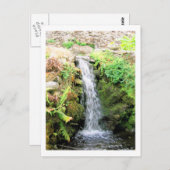 Wasserfall 6 Venezuela Dschungel Landschaft Kunst, Postkarte (Vorne/Hinten)