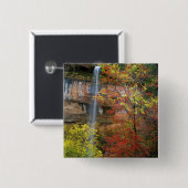 Wasserfall, Ahorn Acre Button (Vorne & Hinten)