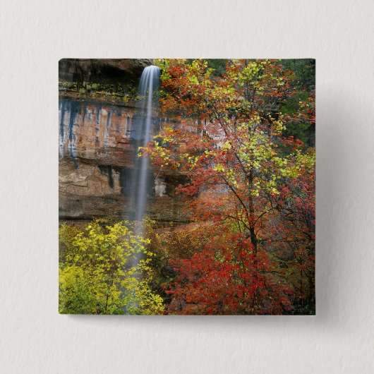 Wasserfall, Ahorn Acre Button (Vorderseite)