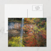 Wasserfall, Ahorn Acre Postkarte (Vorne/Hinten)