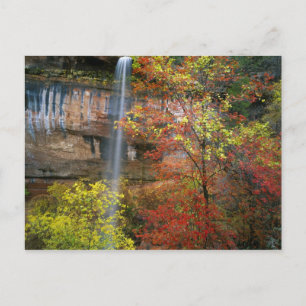 Wasserfall, Ahorn Acre Postkarte