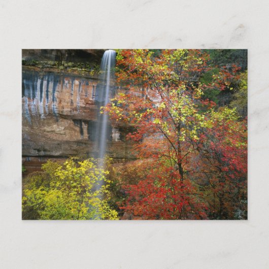 Wasserfall, Ahorn Acre Postkarte (Vorderseite)