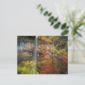 Wasserfall, Ahorn Acre Postkarte (Stehend Vorderseite)