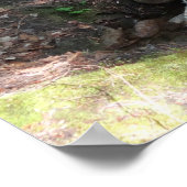 Wasserfall am Fluss Pemigewasset I Poster (Ecke)