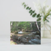 Wasserfall am Fluss Pemigewasset I Postkarte (Stehend Vorderseite)