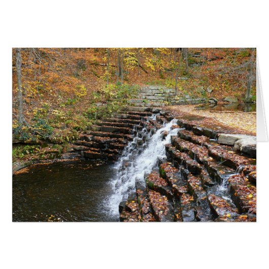 Wasserfall am Laurel Hill Staat Park II (Vorderseite (Horizontal))