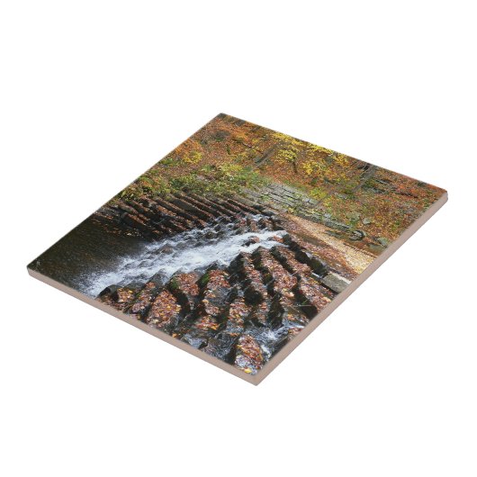 Wasserfall am Laurel Hill Staat Park II Fliese (Seite)